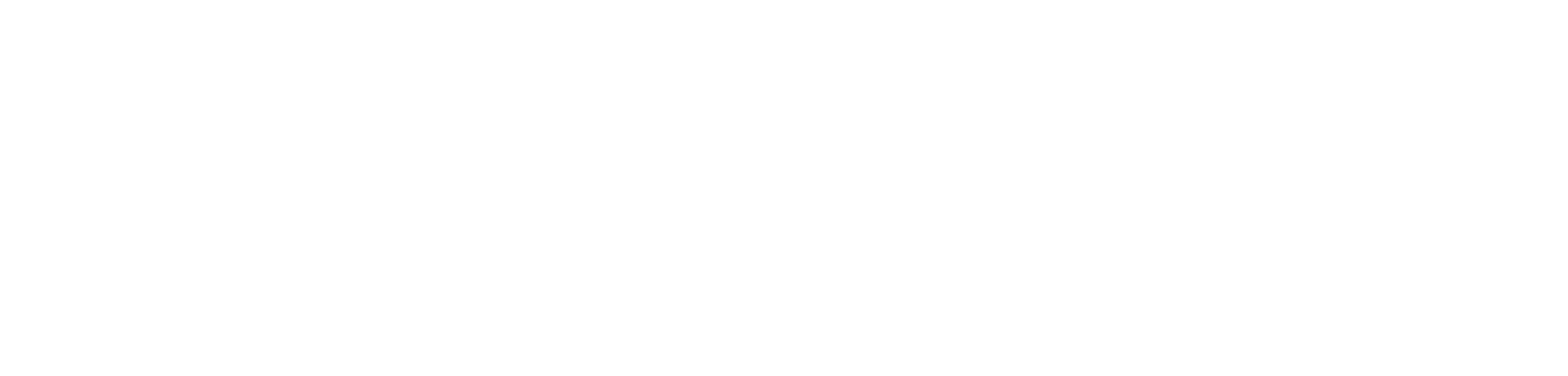 TPUSA Build the Red Wall logo