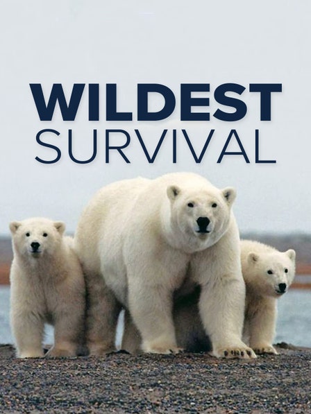 Wildest Survival dcg-mark-poster