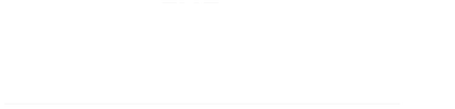 The Wise Guys logo