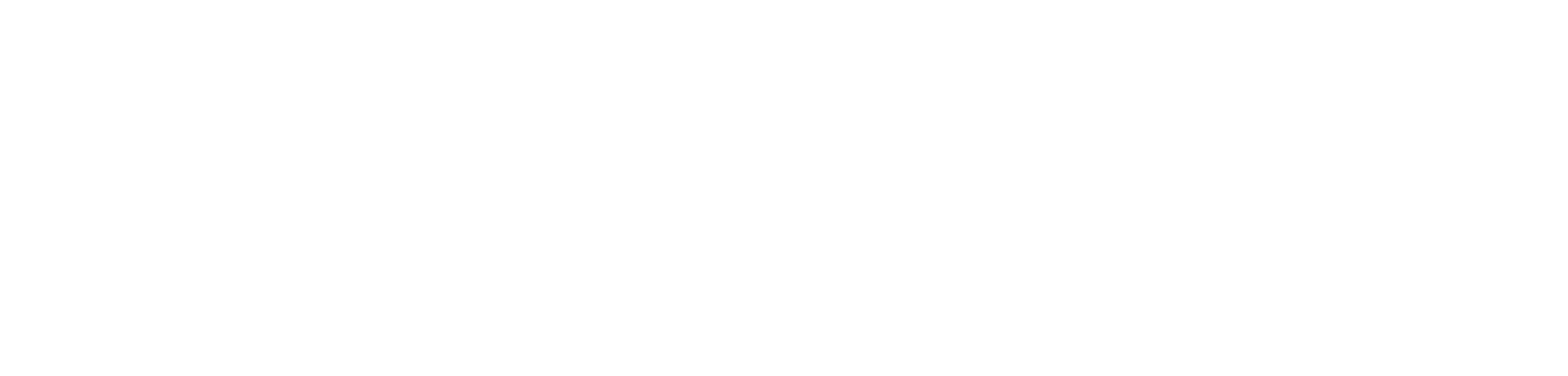Women's Leadership Summit: TPUSA logo
