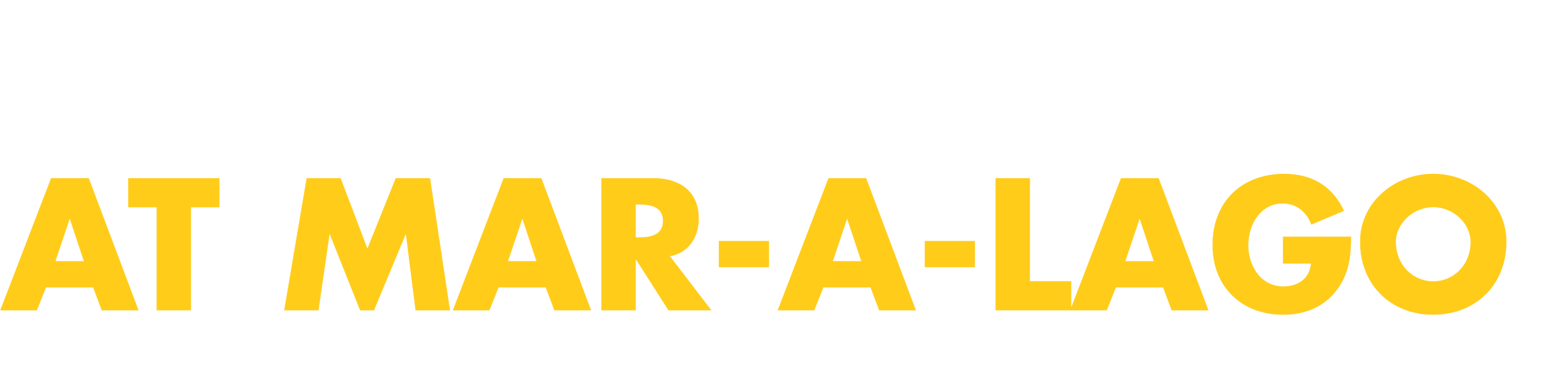 World Leaders Converge at Mar-A-Lago logo